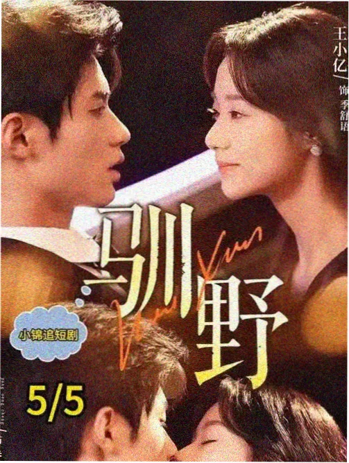 数据之城 天堂影视科幻职场剧集